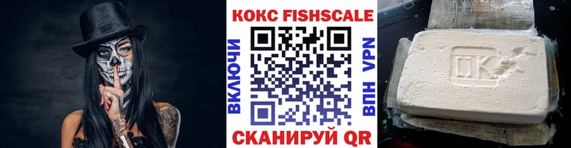 купить наркоту  OMG ССЫЛКА  COCAIN Fish Scale  Лесной 