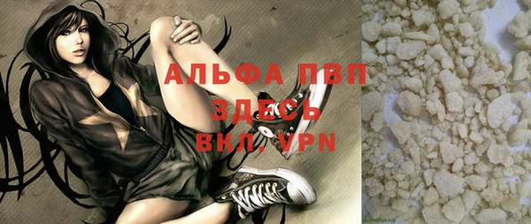 прущие грибы Магас