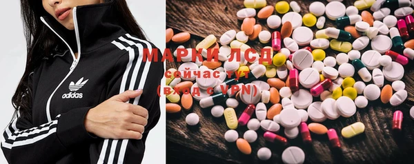 ECSTASY Алзамай
