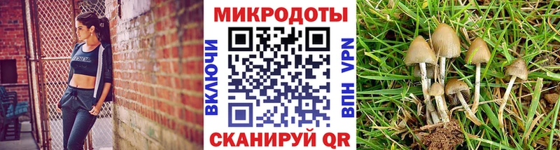 где продают   Лесной  Псилоцибиновые грибы мухоморы 