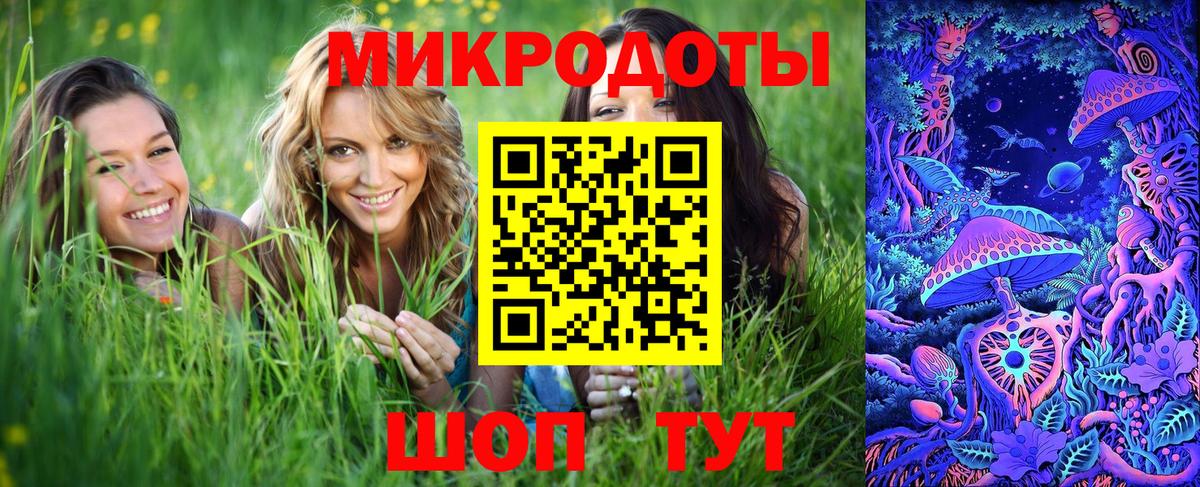 Галлюциногенные грибы прущие грибы  Лесной 