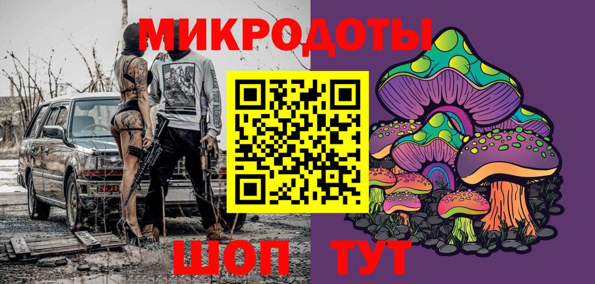 Лесной  Галлюциногенные грибы Psilocybe  Вход с VPN 