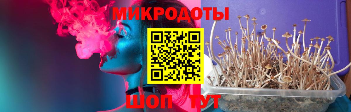 Галлюциногенные грибы мухоморы Лесной
